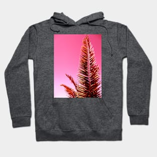 Surf's Up Hoodie